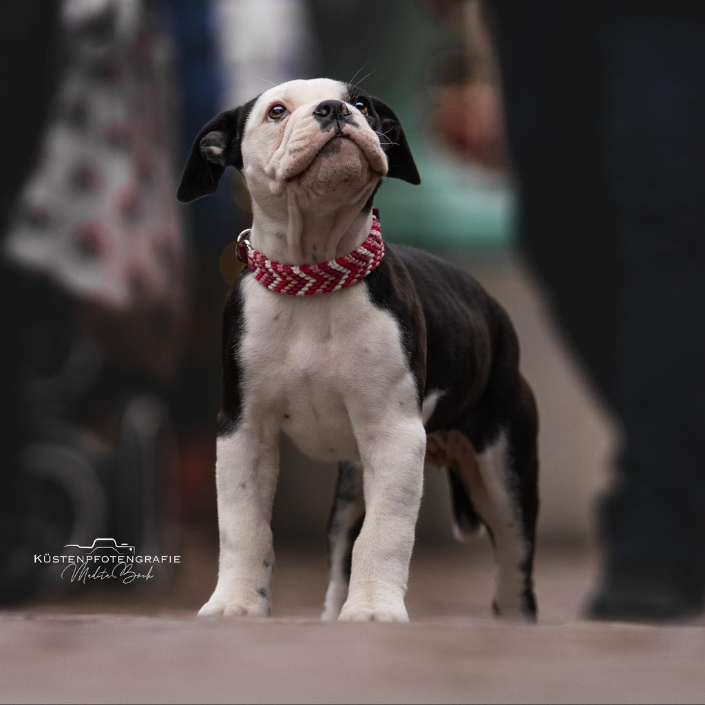 Matilda